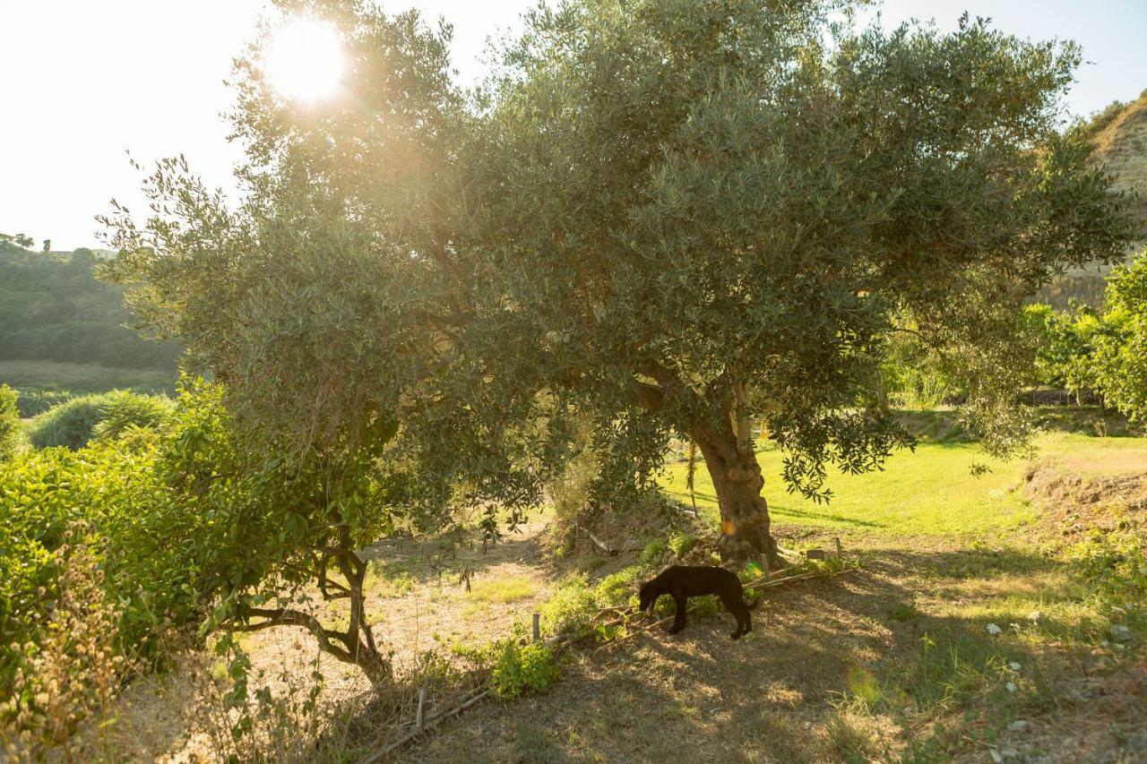 פוזולי Masseria Sardo מראה חיצוני תמונה