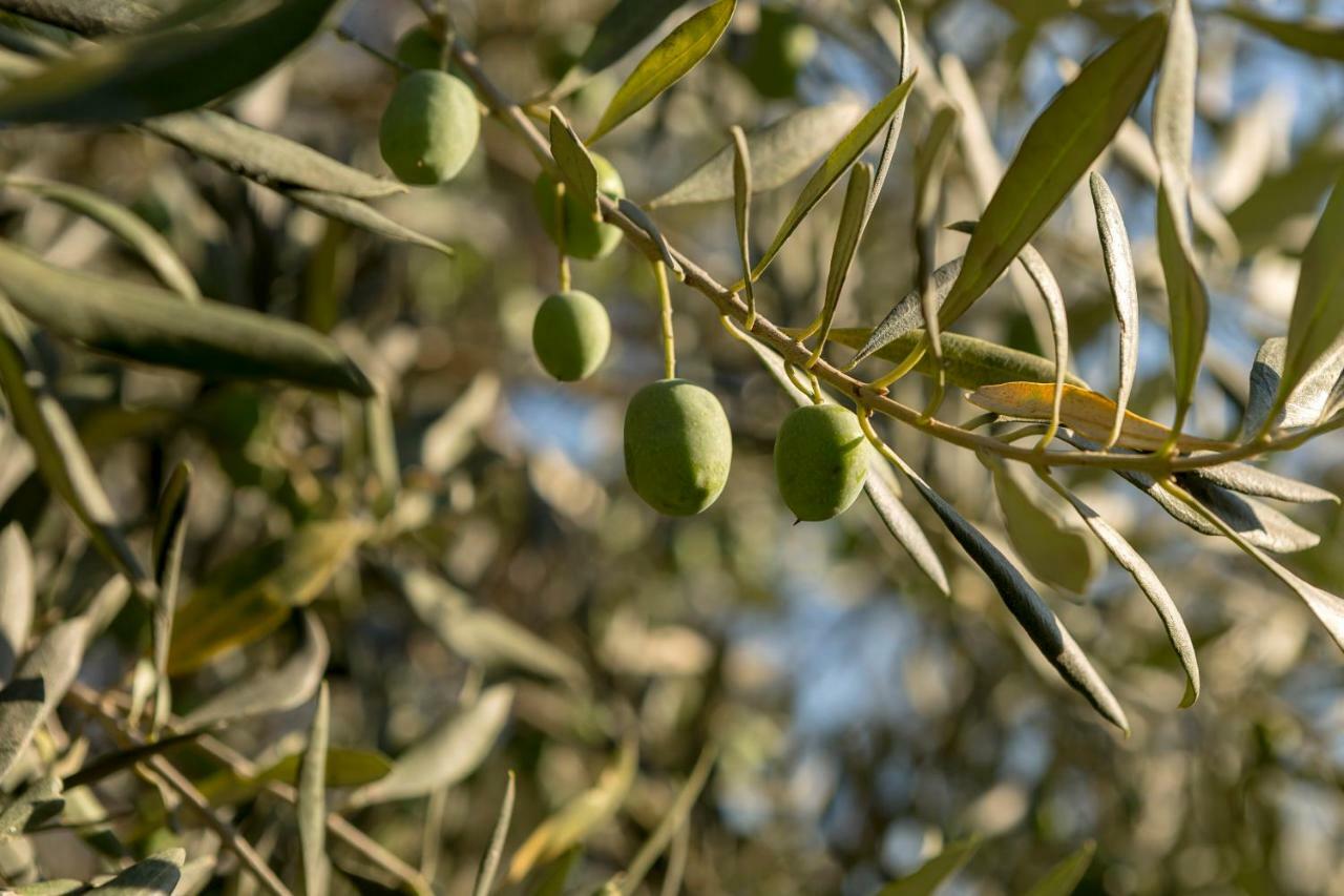 פוזולי Masseria Sardo מראה חיצוני תמונה
